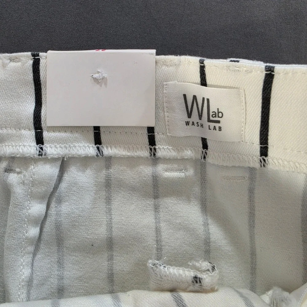 Wash Lab Denim Sally Asymmetrical Skirt 27 Black White Dtriped Midi NWT Raw Hem